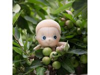 BildeDocka RUBENS Ecobuds ASPEN 35cm