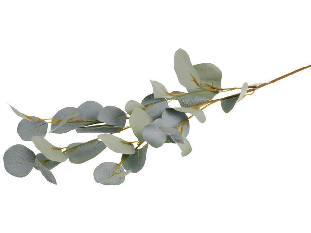 BildeDekorationskvist Eucalyptus 90cm