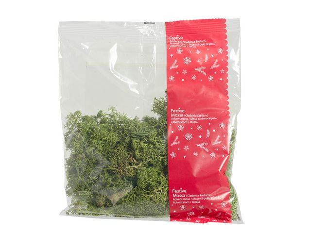BildeDekoration mossa grön 100g