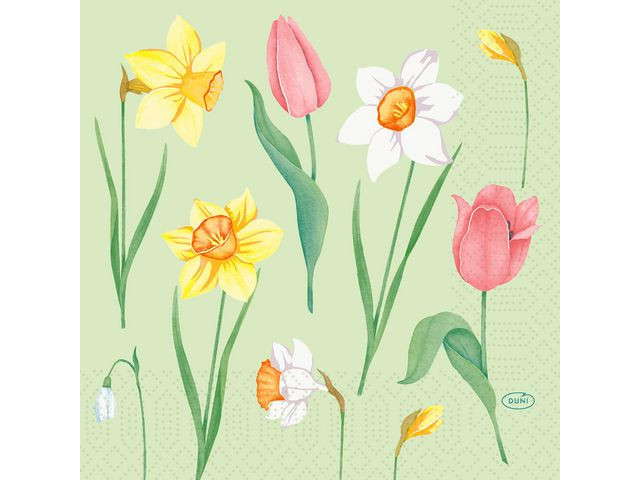 BildeServett DUNI Melody 3-lags 33x33cm 50/fp