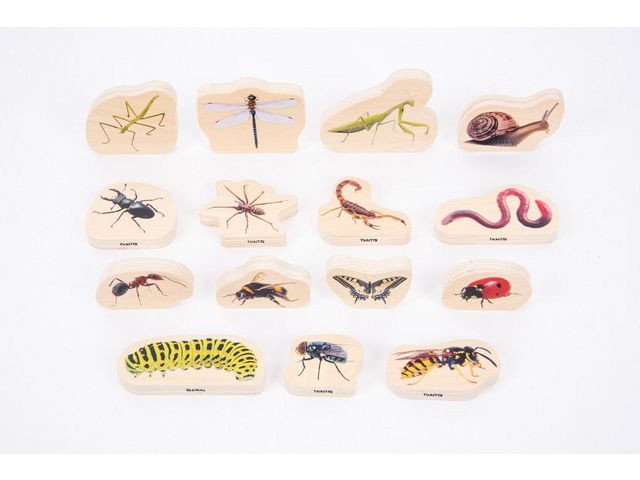 BildeTräfigurer insekter 15/fp