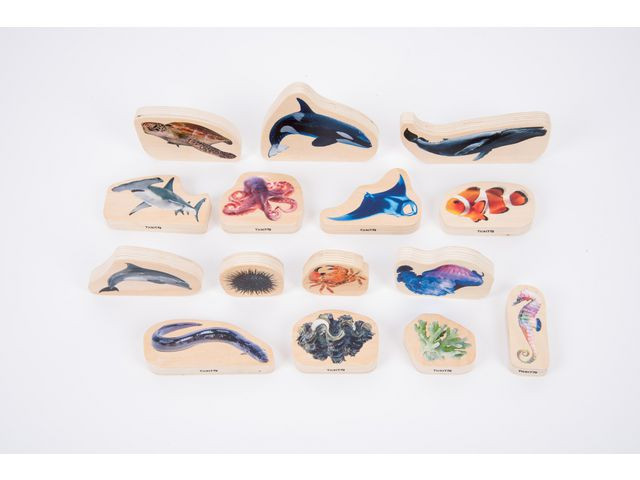 BildeTräfigurer havet 15/fp