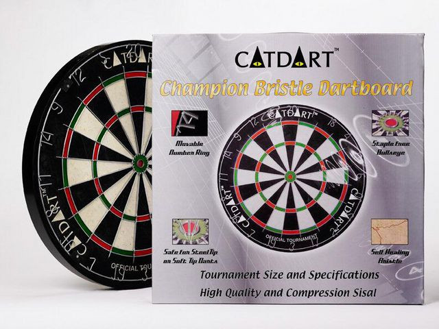 BildeDarttavla Champion