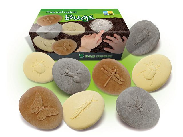 BildeUndersök insekter av sten 8/fp