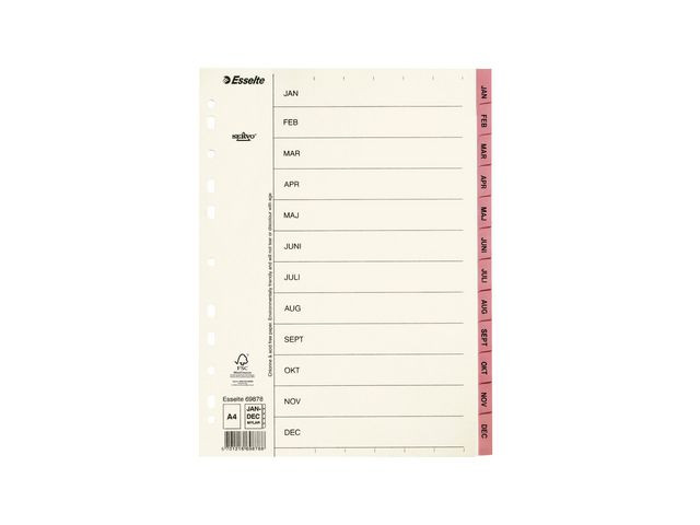 BildePappregister Servo A4 Jan-Dec rosa flik