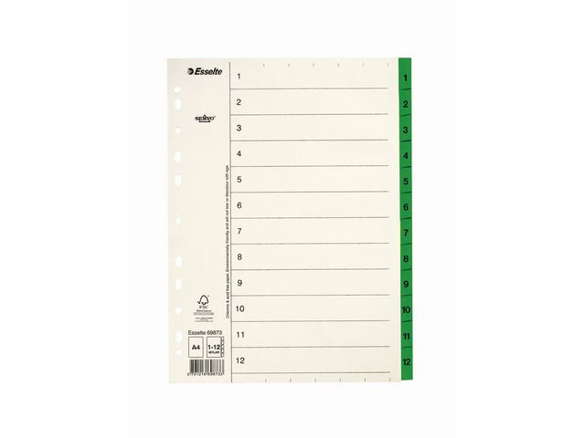 BildePappregister Servo A4 1-12 grön flik