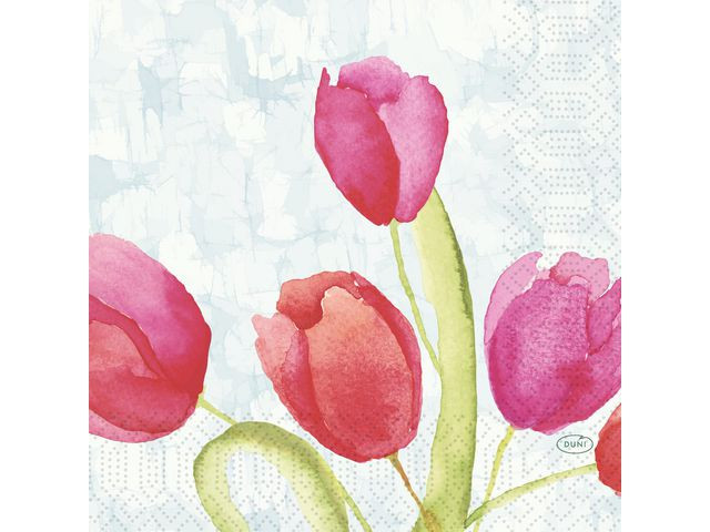 BildeServett Tulips 3-lags 33X33cm 50/fp
