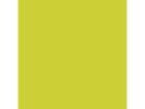 Servett DUNI 2-lags 33x33cm kiwi 125/fp