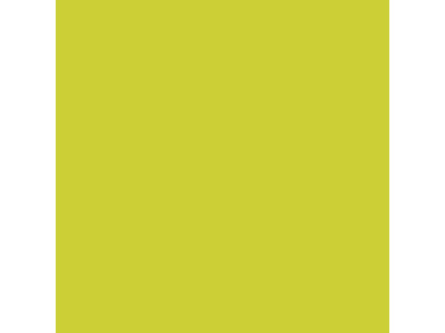 BildeServett DUNI 2-lags 33x33cm kiwi 125/fp