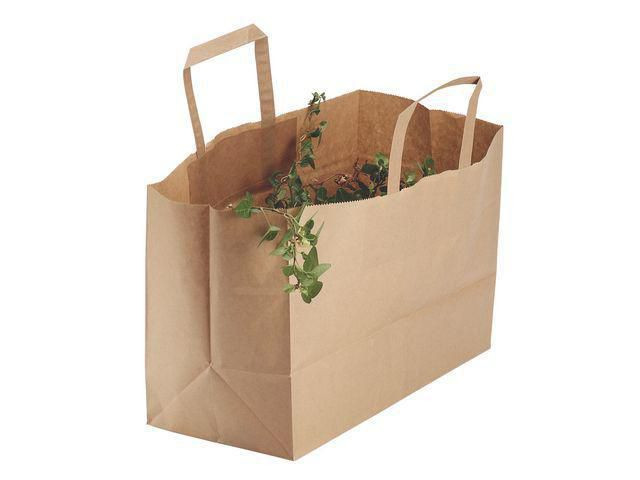 BildeBärkasse papper plant 17l brun 250/fp