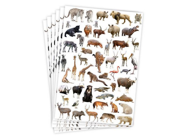 BildeDjurstickers 300/fp