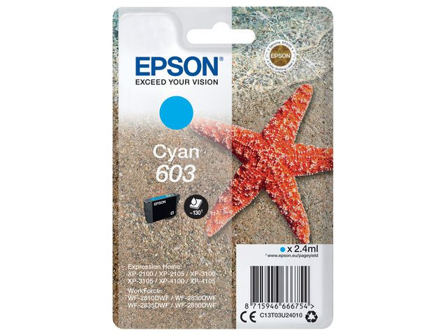 BildeT03U Cyan 603 Ink Cartridge