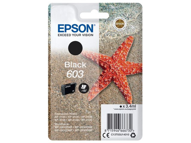 BildeT03U Black 603 Ink Cartridge