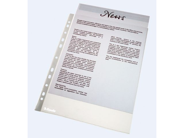 BildePlastficka ESSELTE PP A4 0,06 klar 100/F