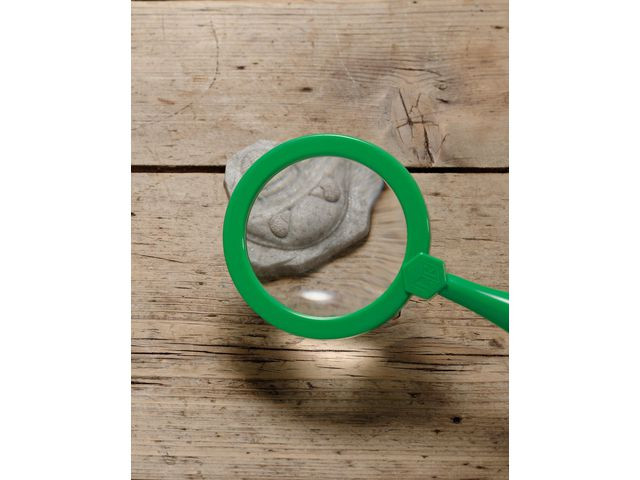 Undersök Fossilier av sten 8/fp