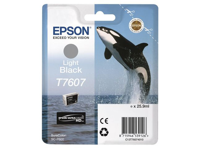 BildeT76074010 Light Black Ink Cartridge