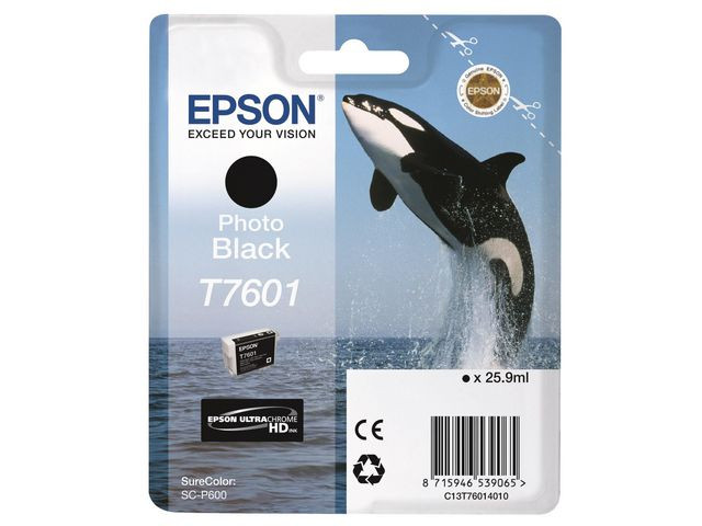 BildeT76014010 Photo Black Ink Cartridge