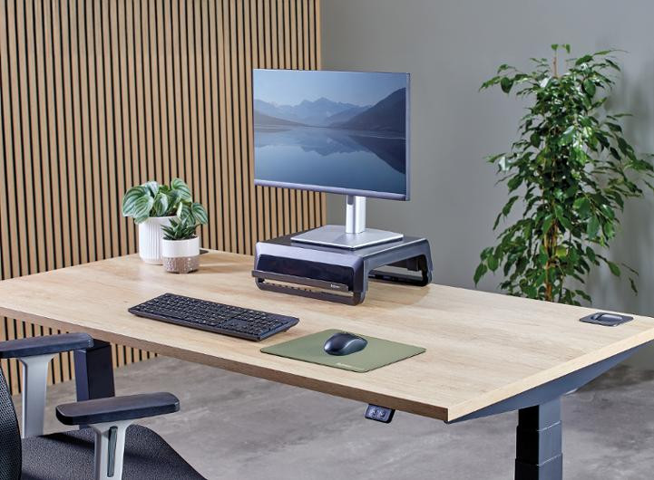 Musmatta FELLOWES Breyta 28x21 grön