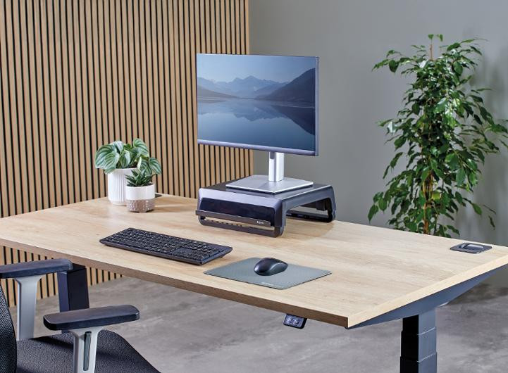 Musmatta FELLOWES Breyta 28x21 blå