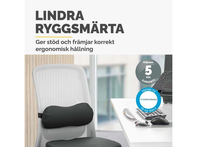 Svankstöd FELLOWES Breyta Lumbar
