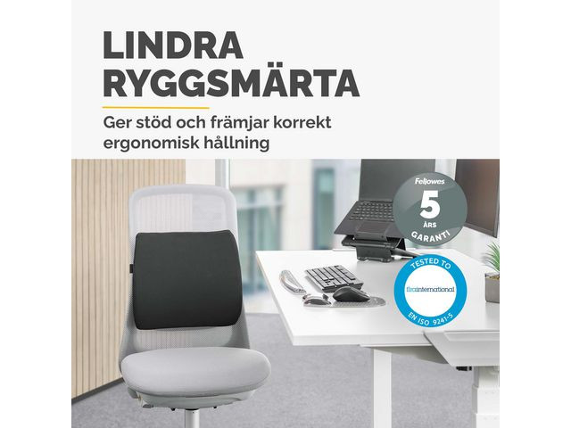 Ryggstöd FELLOWES Breyta Comfort