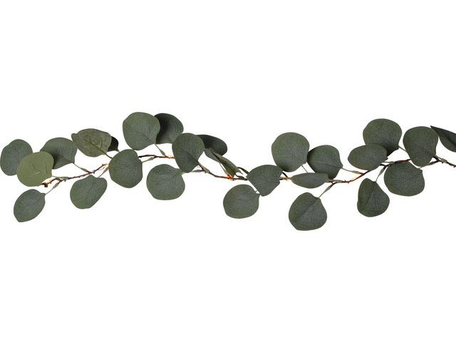 Ljusslinga Eucalyptus timer 180cm