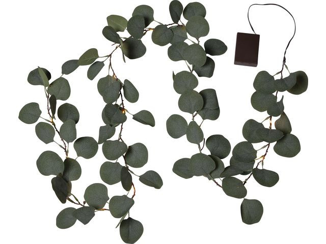 Ljusslinga Eucalyptus timer 180cm
