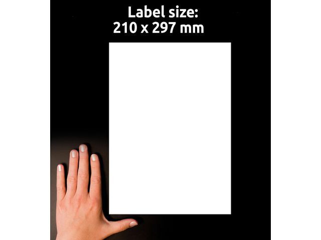 Etikett AVERY Stretch 210x297mm 10/fp