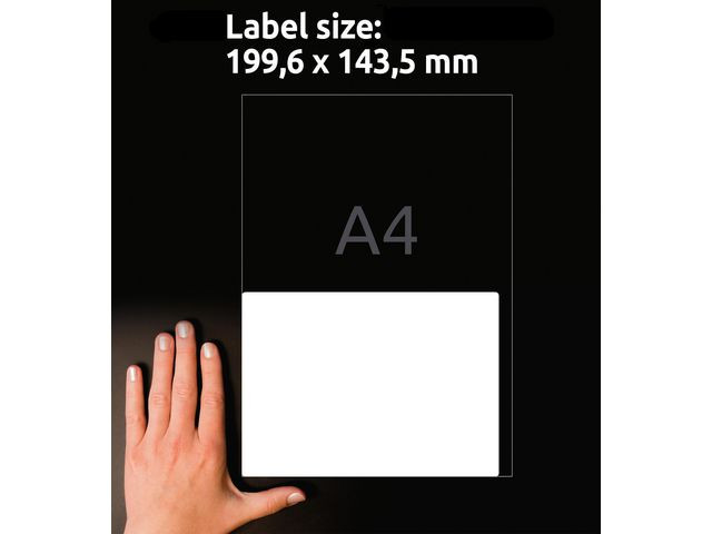 Etikett AVERY avtagb 199,6x143,5mm 60/fp