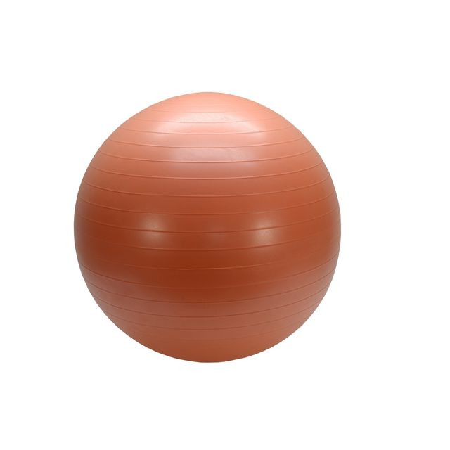 BildeGymboll 55cm
