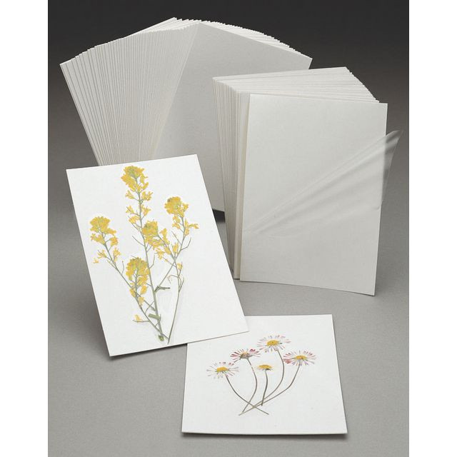 BildeKontaktplastkort 50/fp