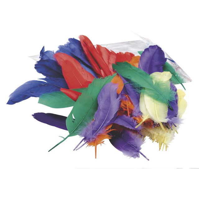 BildeFjädrar 150mm blandade färger 120/fp