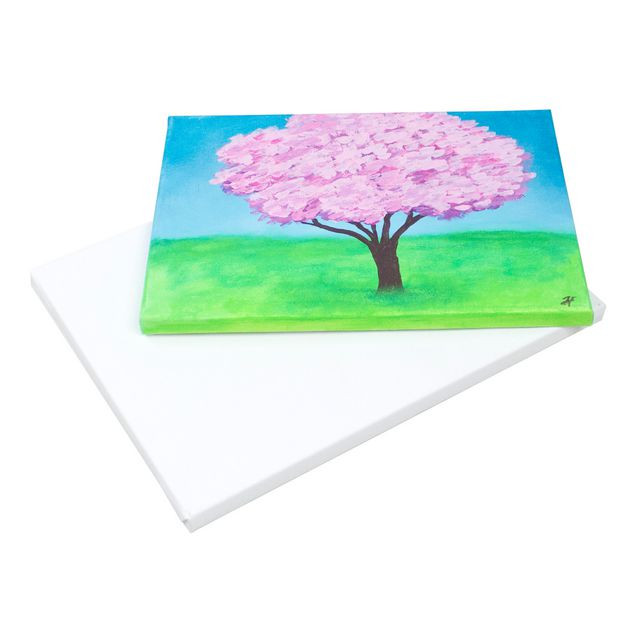 BildeMålarduk 24x30x1,7 cm 10/fp