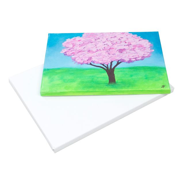 BildeMålarduk 40x60x1,7 cm 5/fp