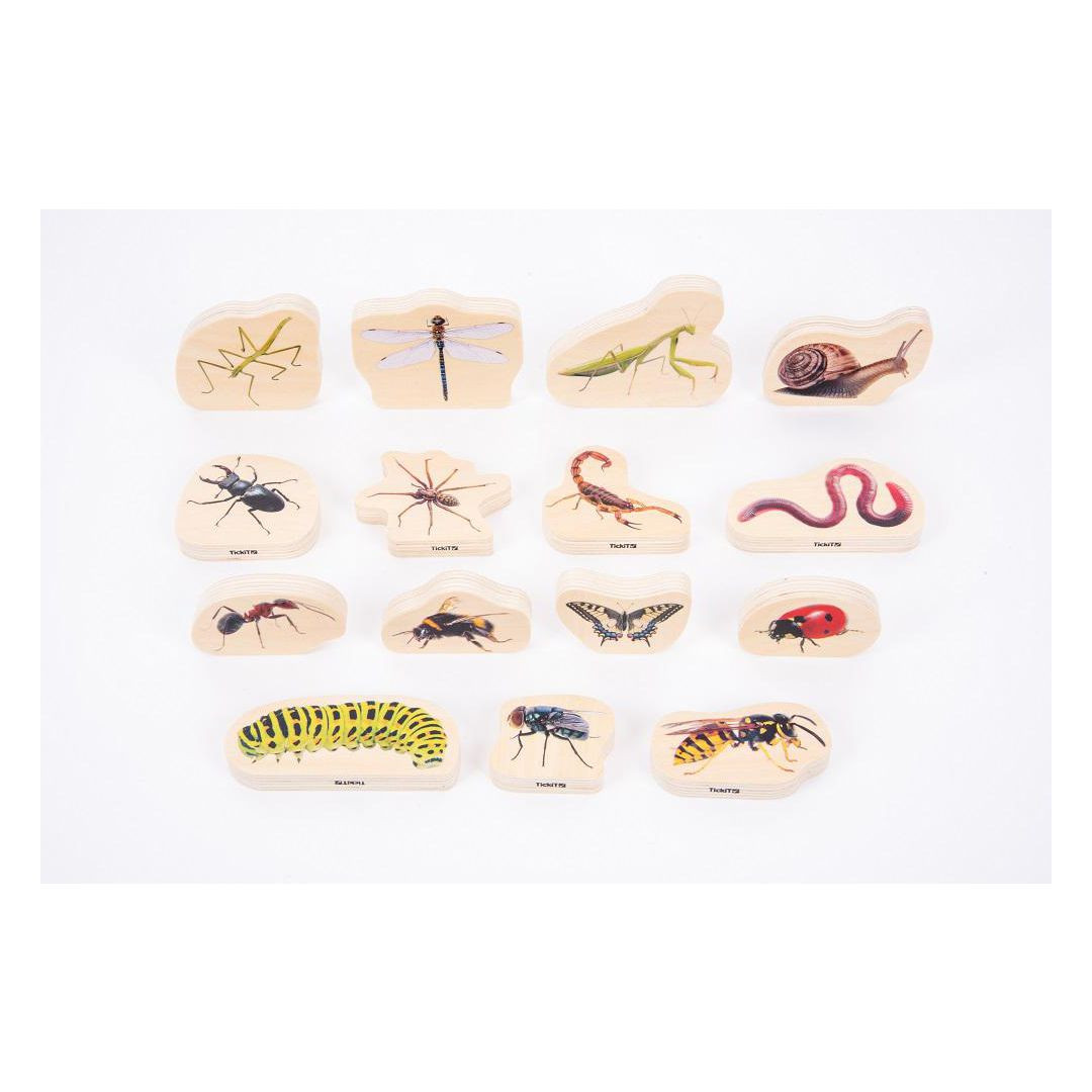 BildeTräfigurer insekter 15/fp