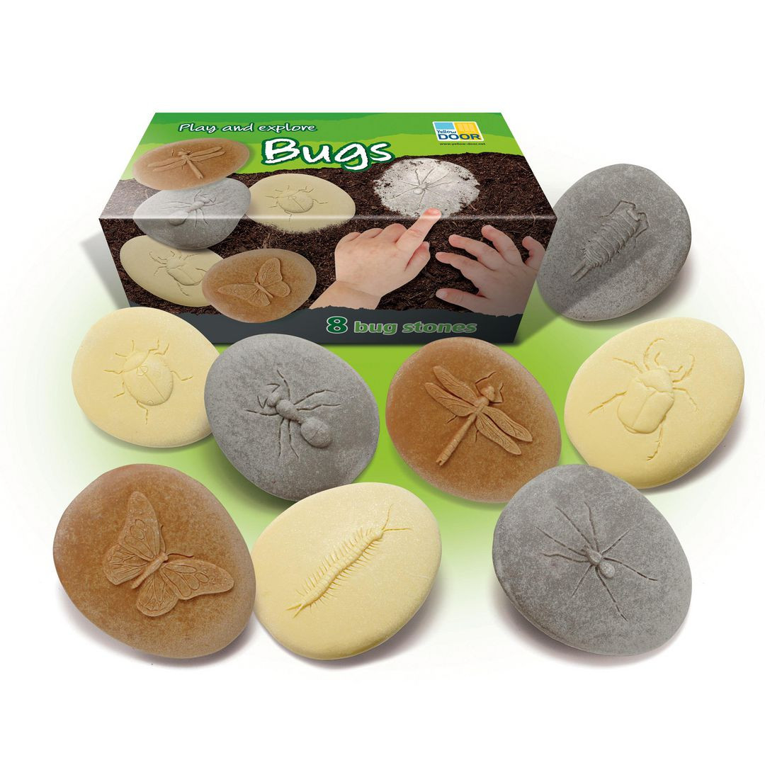 BildeUndersök insekter av sten 8/fp