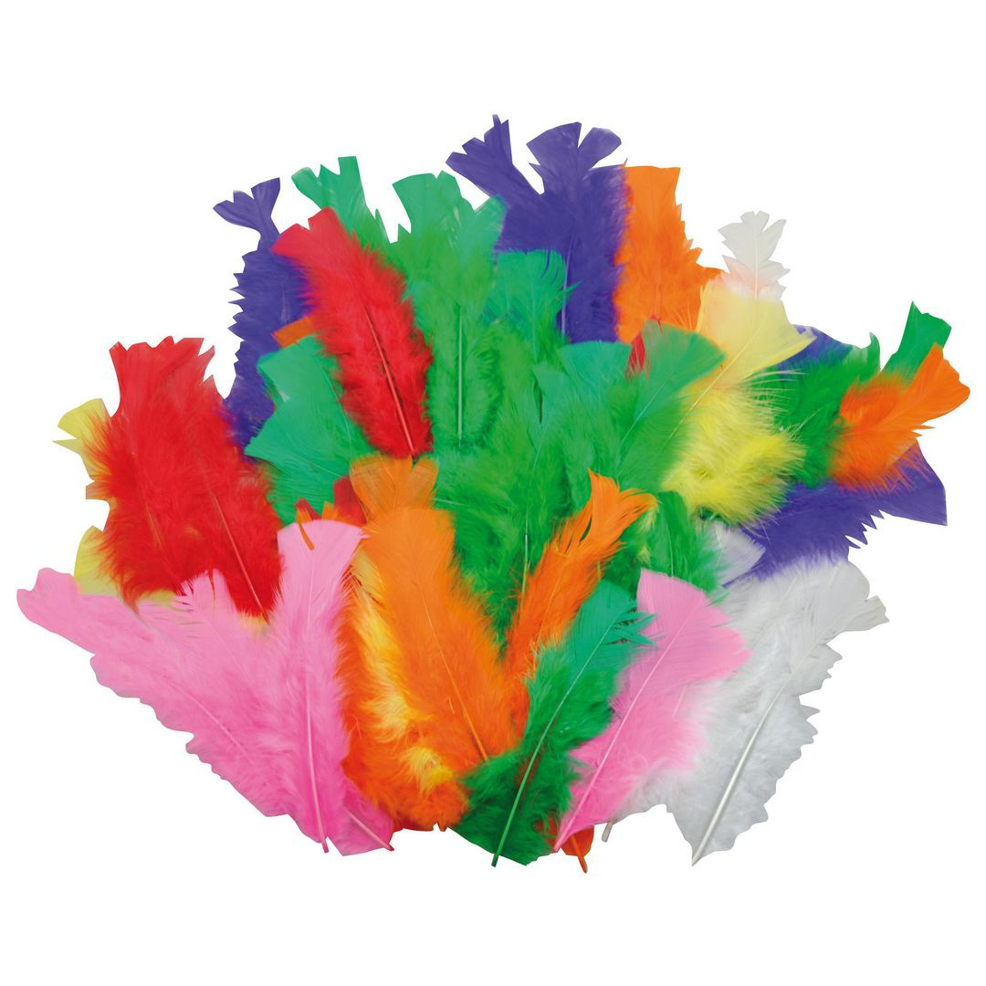 BildeFjädrar 35-50mm blandade färger 60/fp