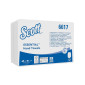 Handduk SCOTT ESSENTIAL 5100/fp Vit
