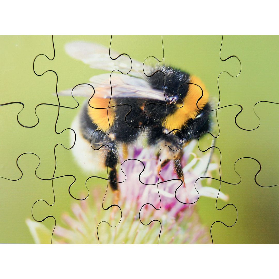 BildePussel Småkryp 8 olika pussel