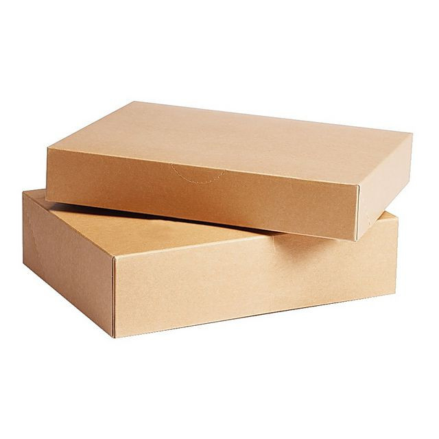 BildeArkivbox Brun. Sv. Stand. Folio 55mm