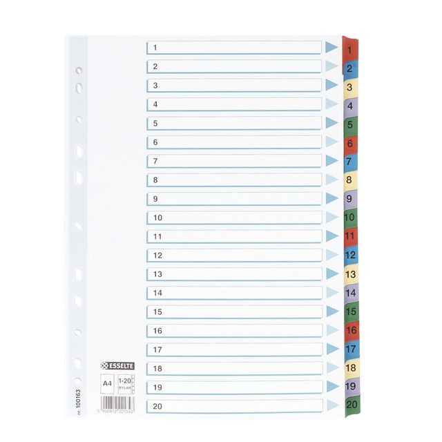 BildeKartongregister m. plastfl. A4 1-20 färg