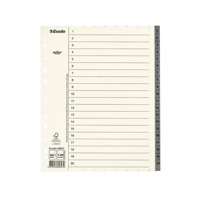 BildePappregister Servo System A4+ 1-20 grå