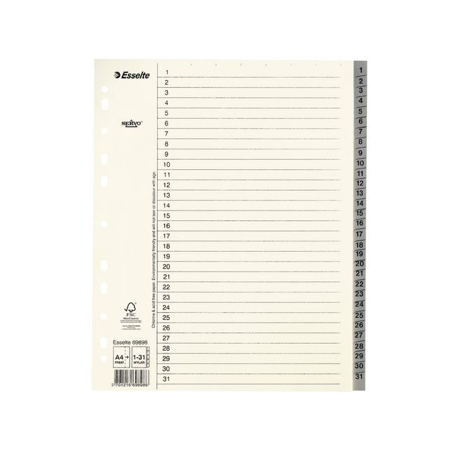 BildePappregister Servo System A4+ 1-31 grå