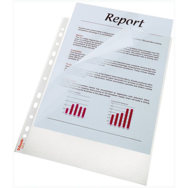 BildePlastficka Mapp ESSELTE A4 0,08mm 100/fp