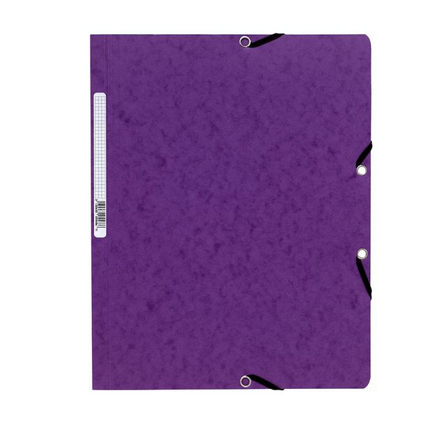 BildeGummibandsmapp u.kl. EXACOMPTA A4 lila