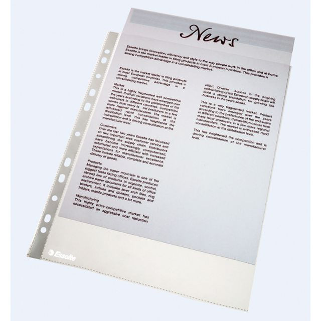 BildePlastficka ESSELTE PP A4 0,06 klar 100/F