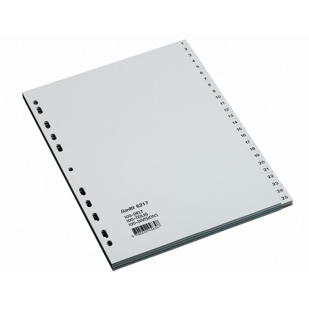 BildePlastregister BANTEX PP A4 1-100 grå