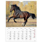 Väggkalender Stora Hästkalendern 2026