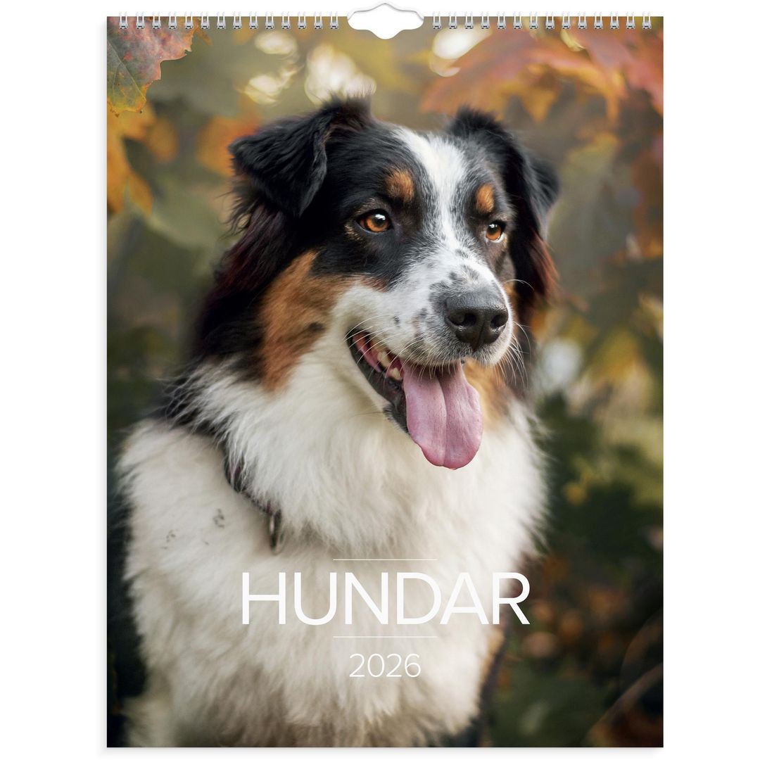 BildeVäggkalender Stora Hundkalendern 2026