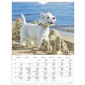 Väggkalender Stora Hundkalendern 2026